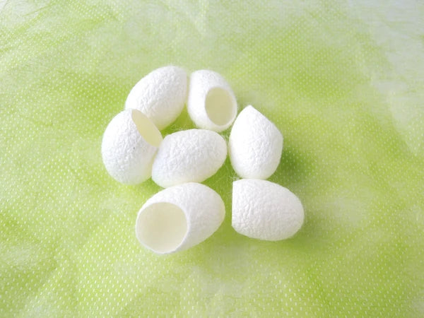 silkworm cocoon dental cat teaser toy